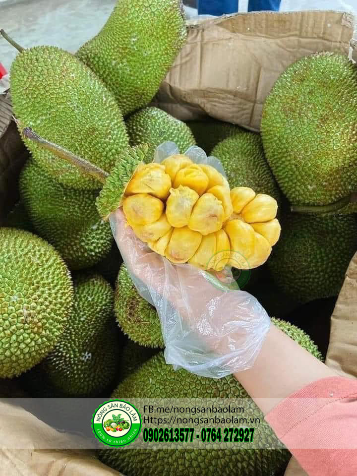 Mít Tố Nữ Hương Sầu Riêng - nông sản bảo lâm 2