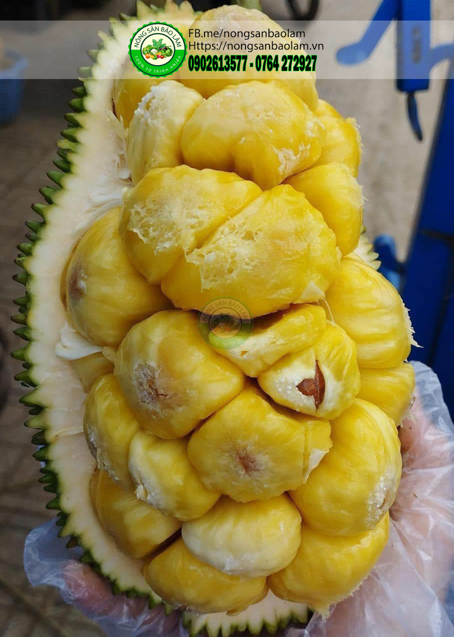 Mít Tố Nữ Hương Sầu Riêng - nông sản bảo lâm 4