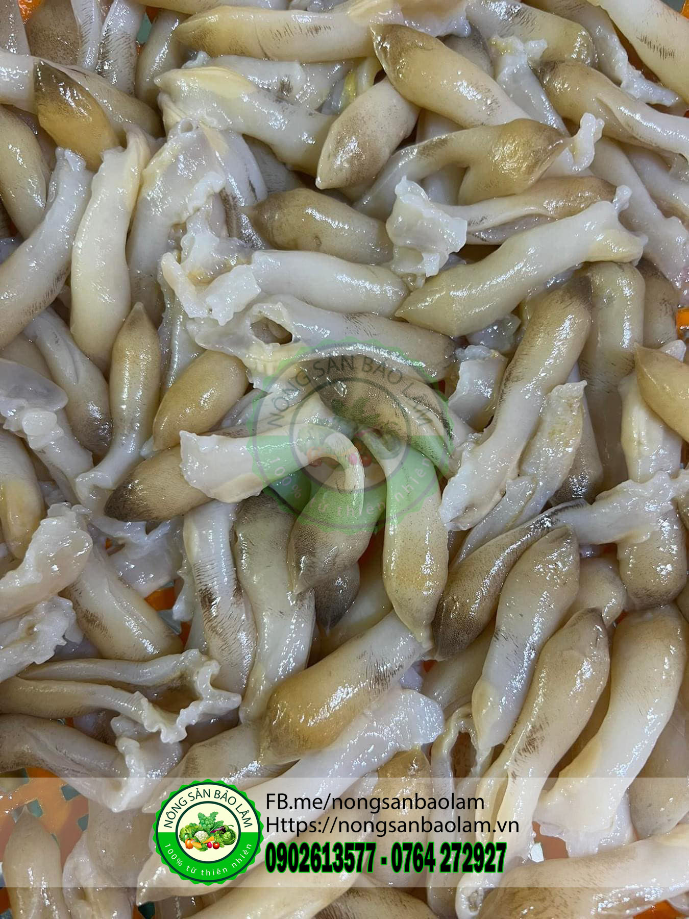 Ruột ốc móng tay - nông sản bảo lâm 2