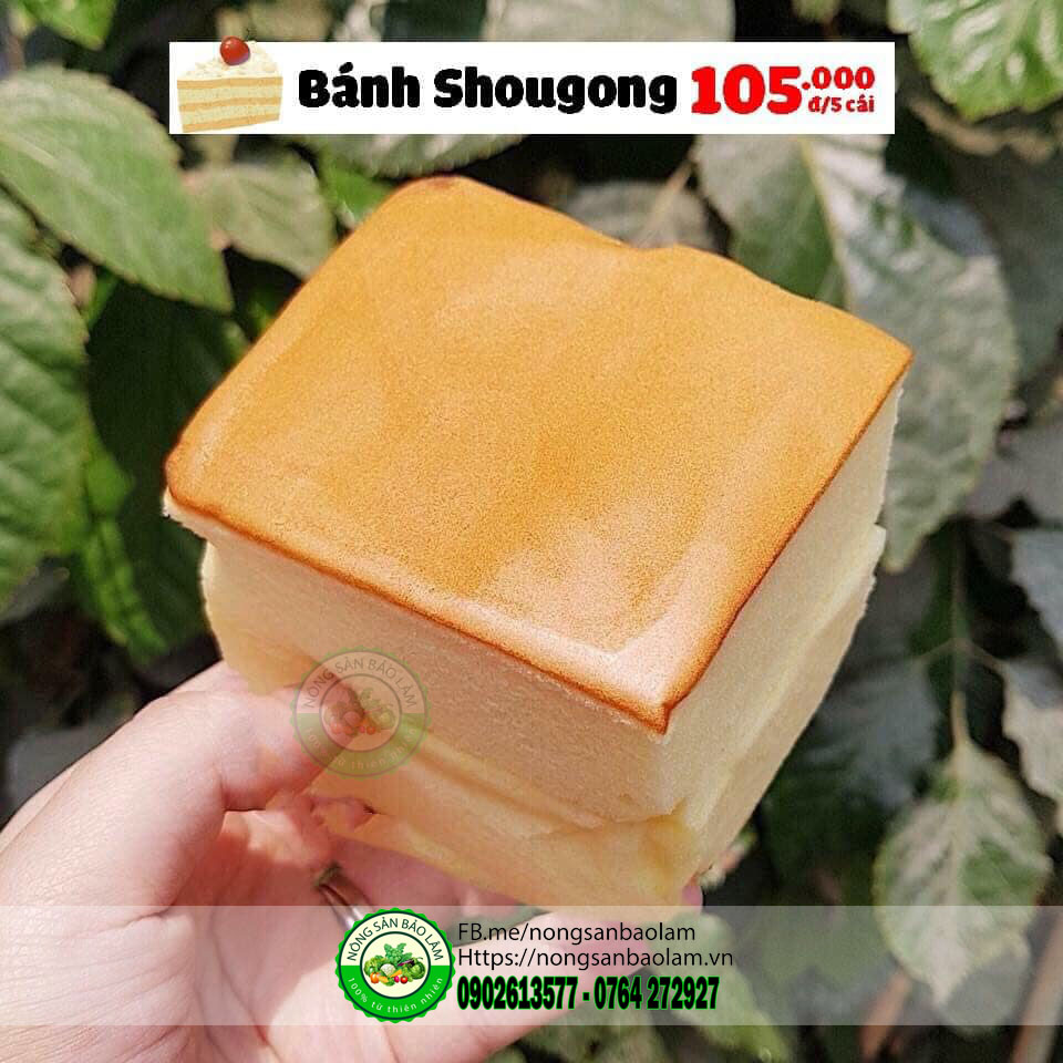 bánh shougong - trái cây quận 10 hcm - nông sản bảo lâm