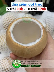 Dừa Xiêm Gọt Trọc