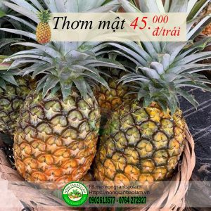 Thơm mật