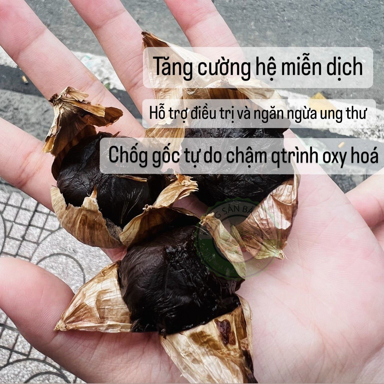 tỏi đen - nông sản bảo lâm - trái cây gò vấp 5
